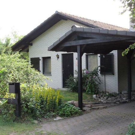 Villa Ferienhaus Uchte / Darlaten Exterior foto